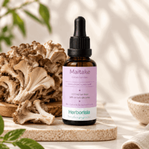 Maitake bio Herborisia | Extrait champignon liquide | 30ml