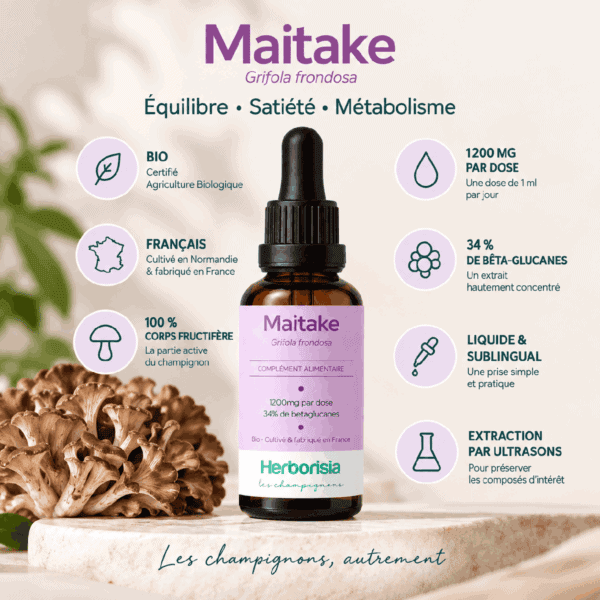Maitake bio Herborisia | Extrait champignon liquide | 30ml Maitake bio Herborisia | Extrait champignon liquide | 30ml