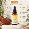 Reishi bio Herborisia | Extrait champignon liquide | 30ml