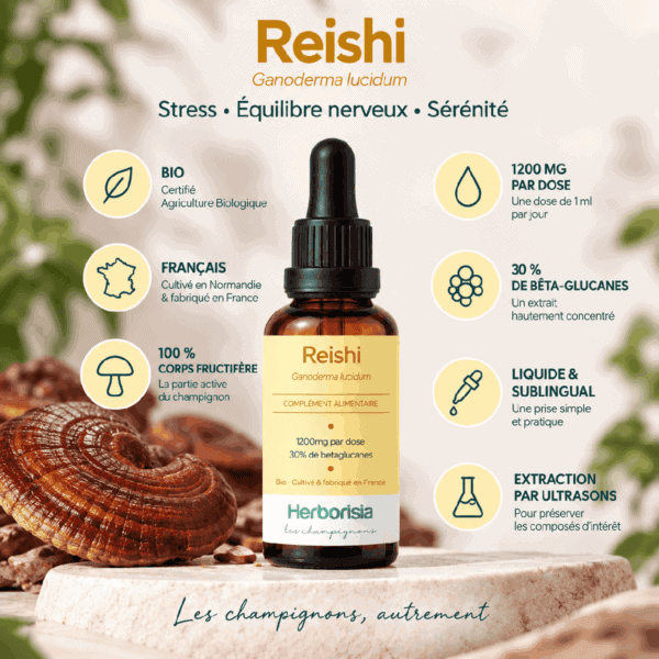 Reishi bio Herborisia | Extrait champignon liquide | 30ml