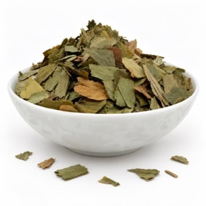 Abricotier d'argent - Ginkgo biloba | Feuilles coupées