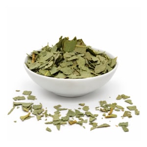 Eucalyptus BIO | Feuilles coupées