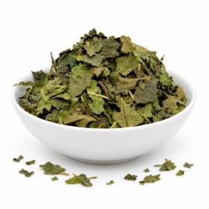 Mûrier BIO | Feuilles coupées