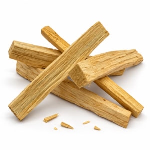 Palo Santo - Bois sacré pour fumigation
