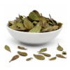 Busserole BIO - Raisin d'Ours | Feuilles entières