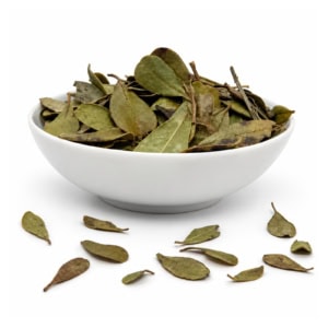 Busserole BIO - Raisin d'Ours | Feuilles entières