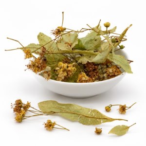 Tilleul BIO | Fleurs & Bractées