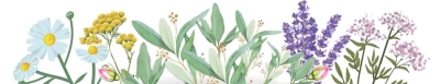 HOME-HB-Fleurs-pour-bandeau-texte-V2.jpg